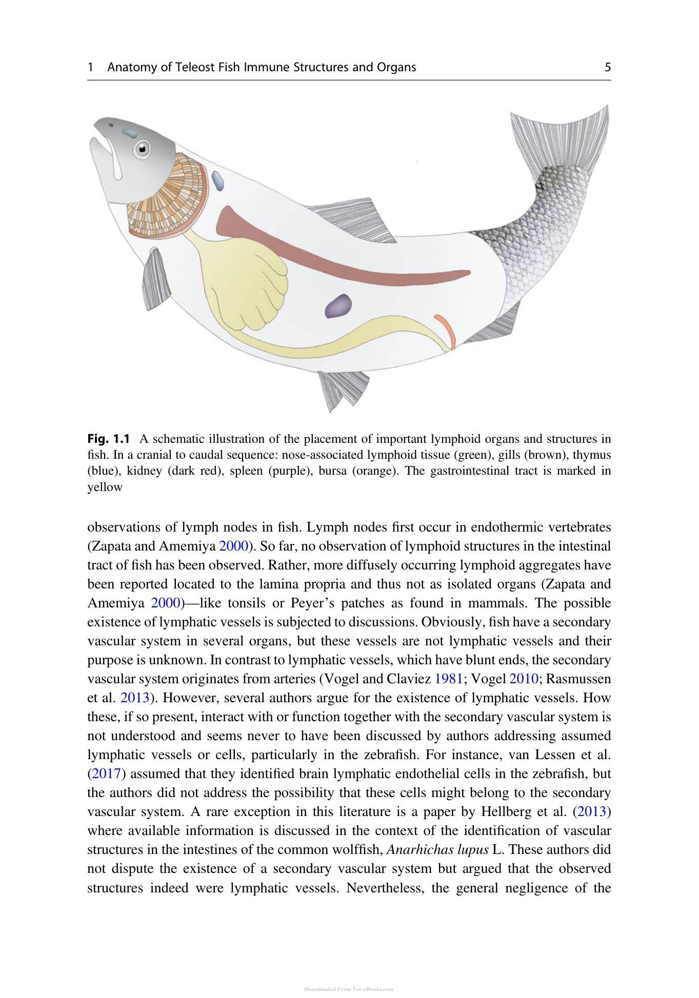 Look inside — page 14