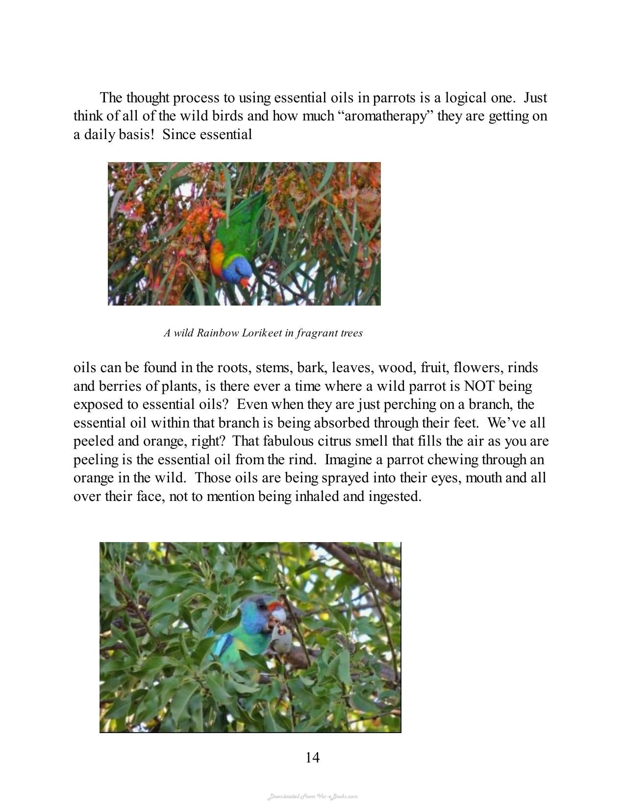 Look inside — page 14