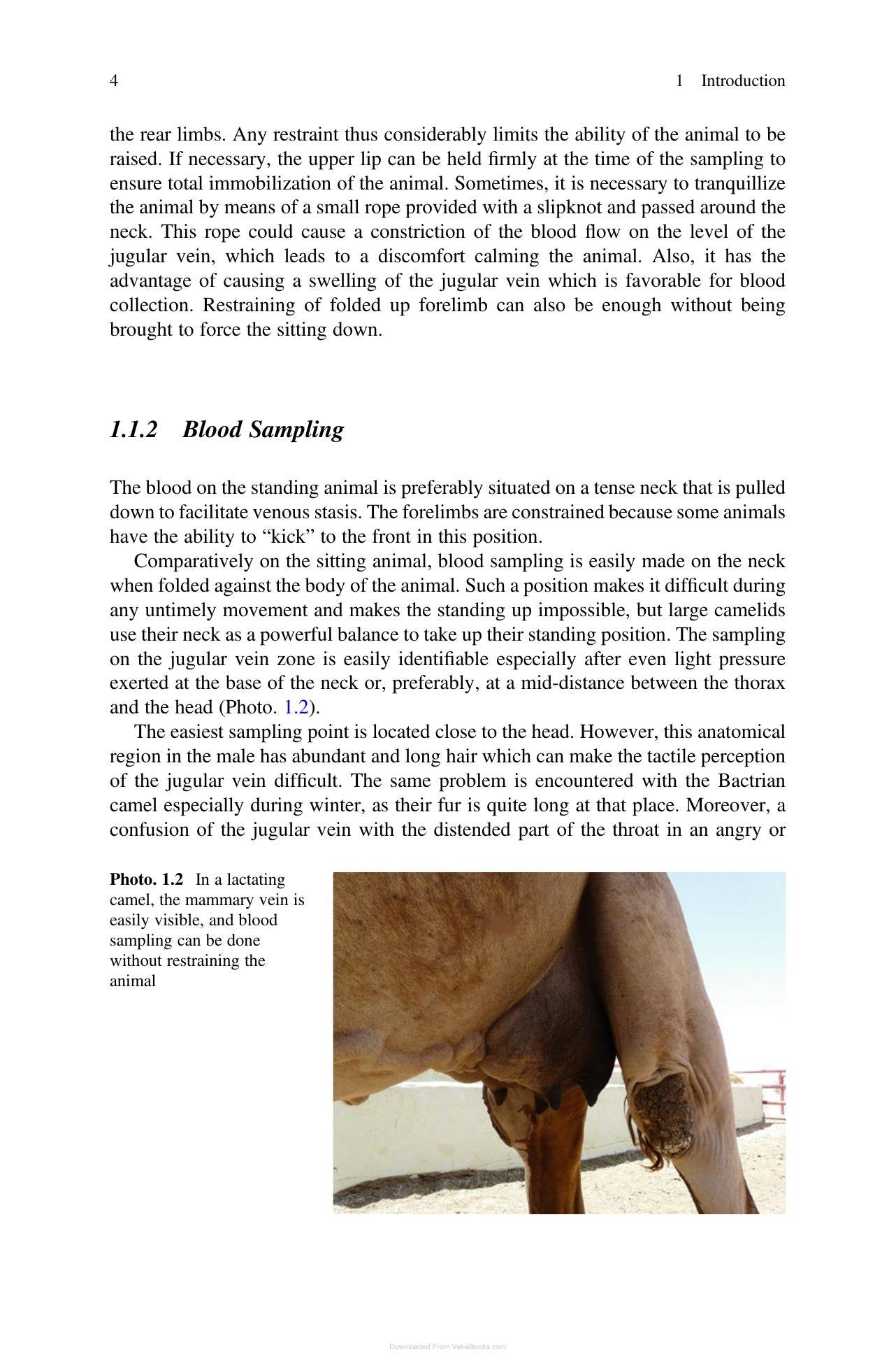 Look inside — page 15