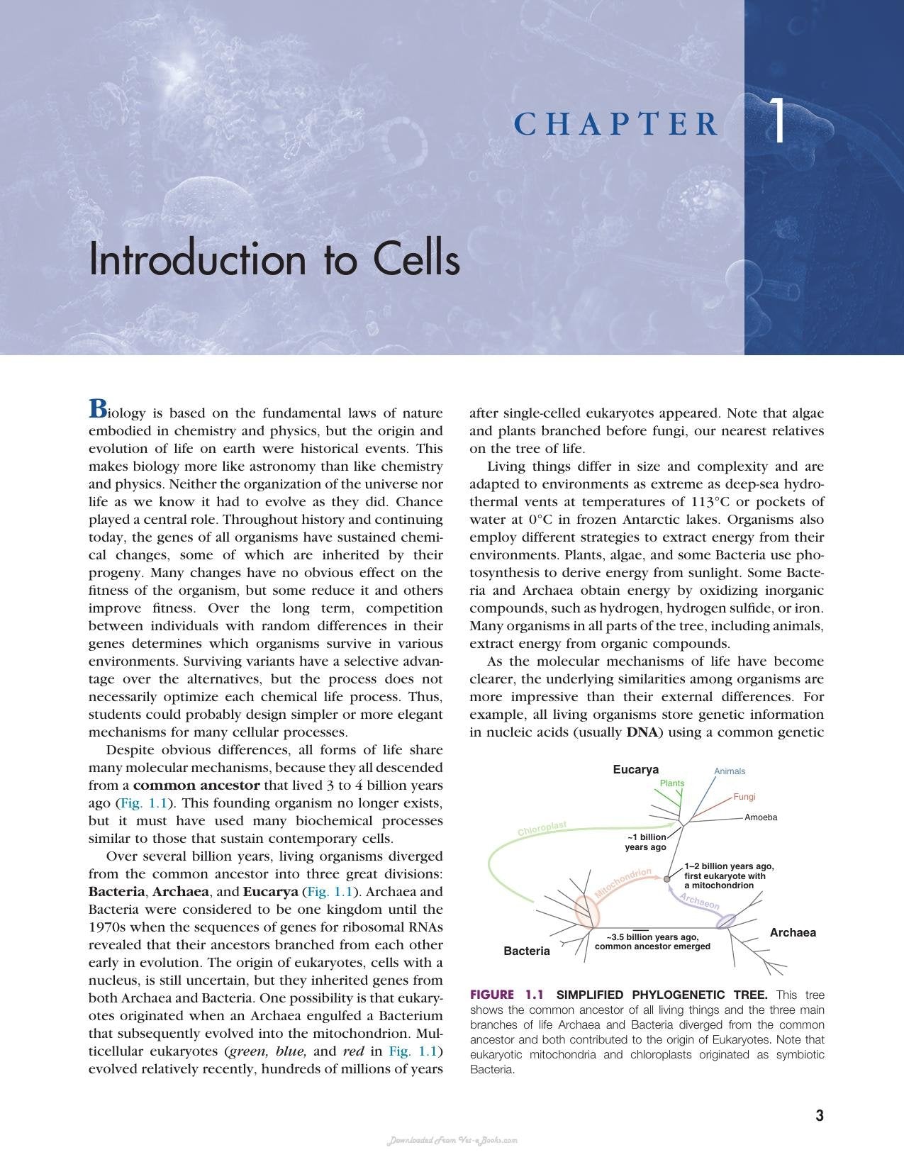 Look inside — page 15