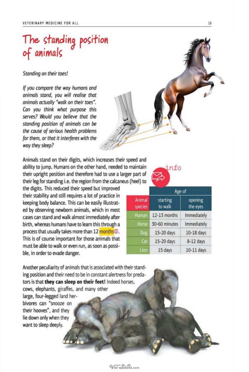 The Body Of Domestic Animals Structure And Function