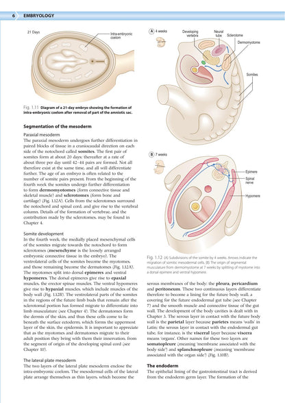 Embryology an Illustrated Colour Text 2nd Edition