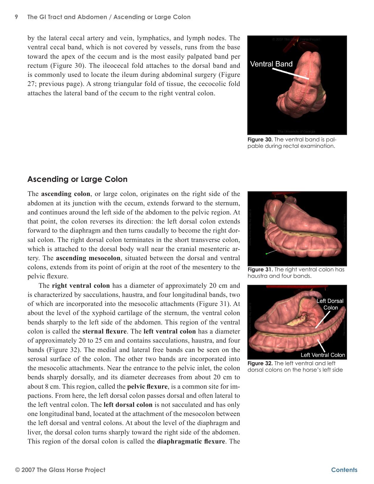 Look inside — page 15