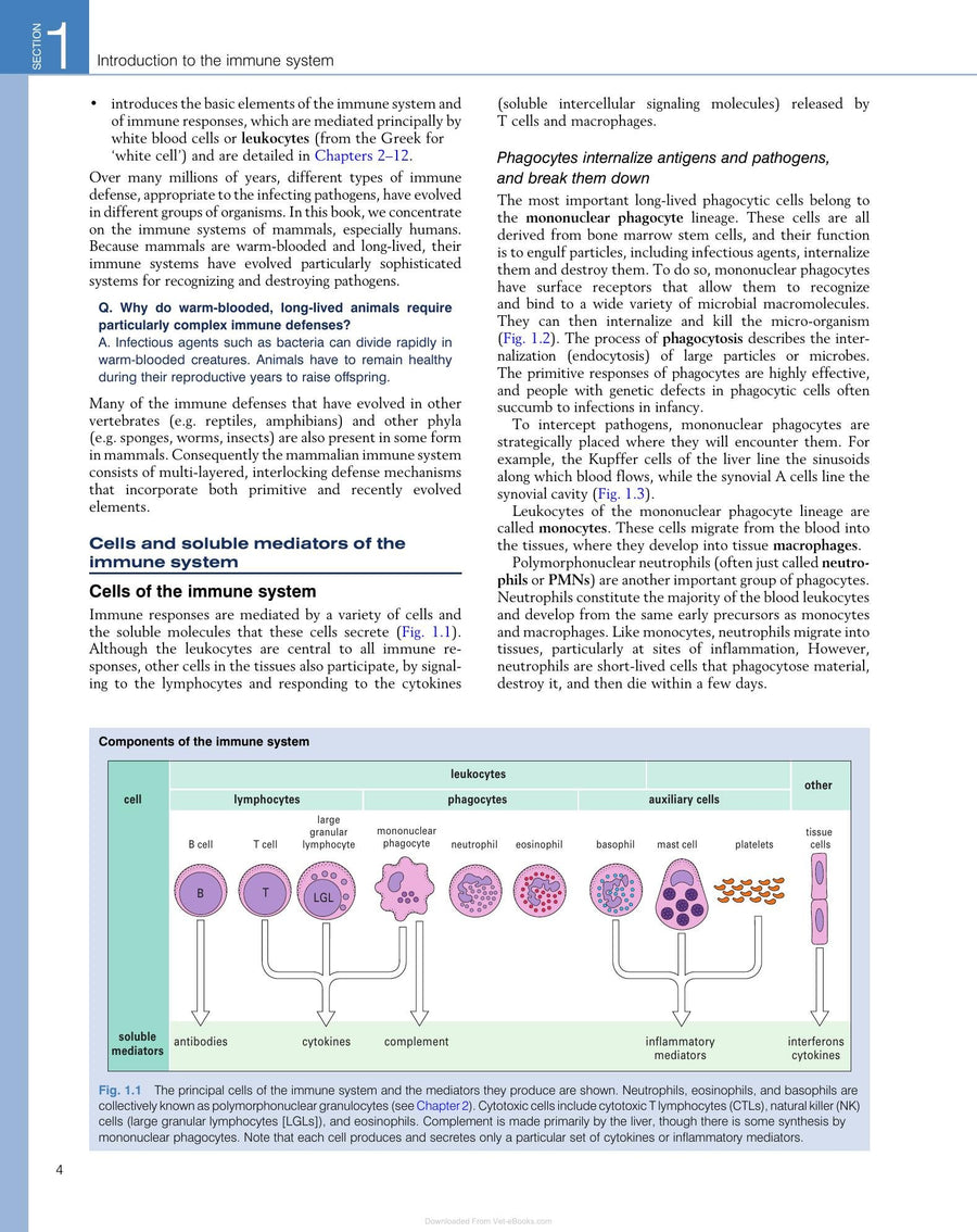 Preview page of Immunology 8th Edition