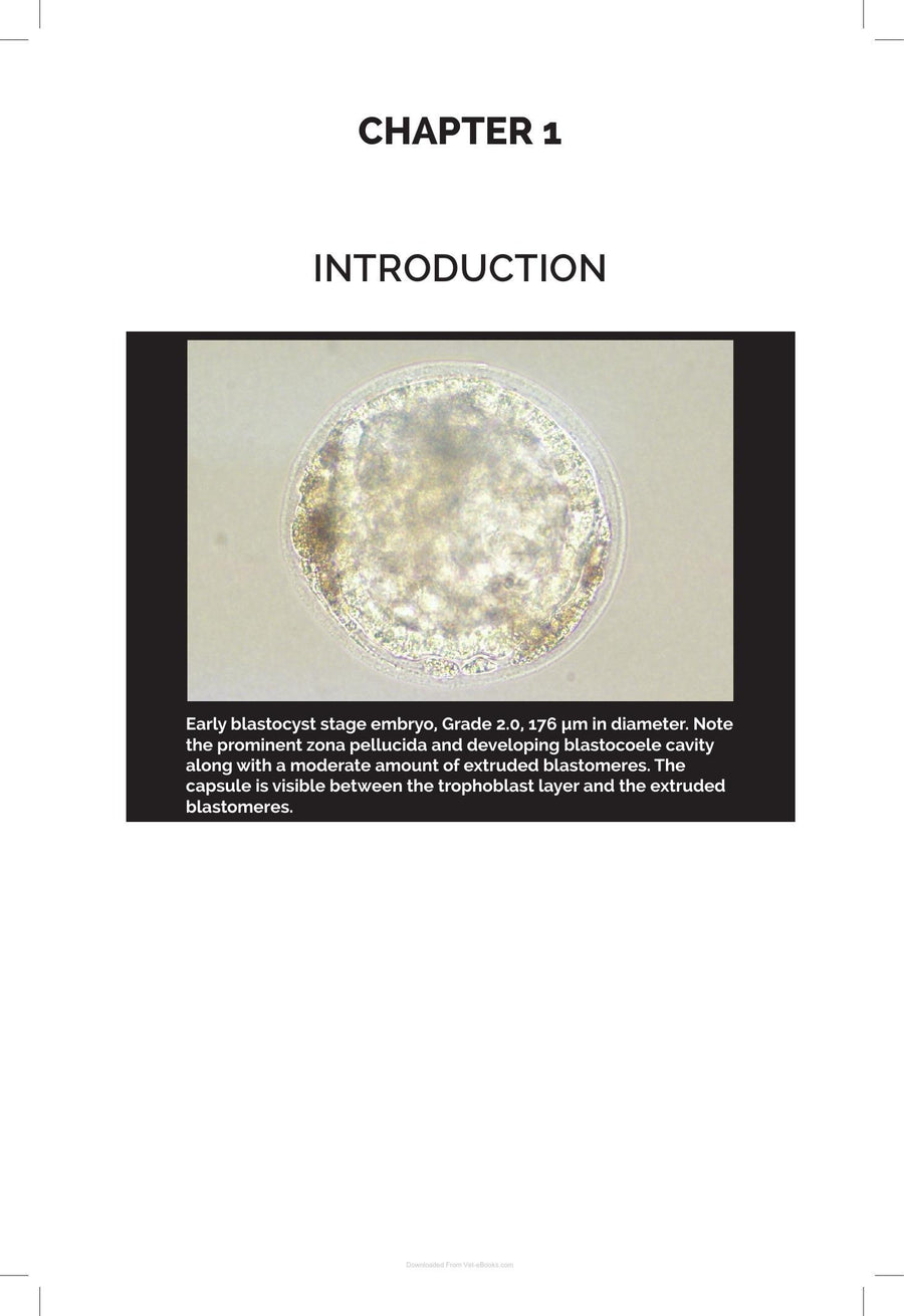 Preview page of Equine Embryo Transfer