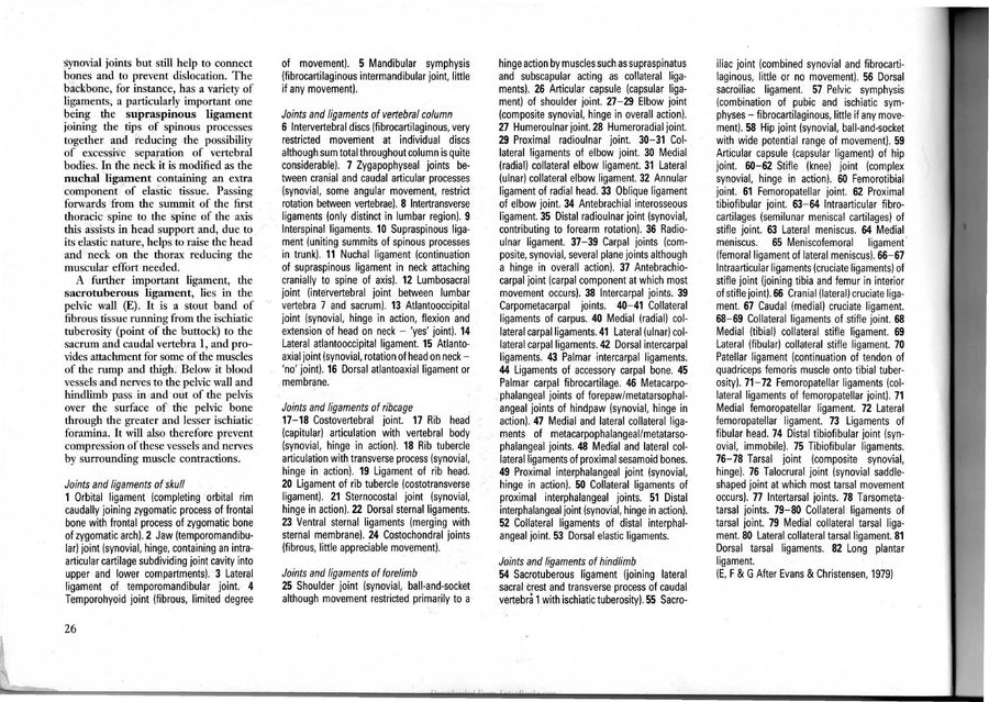 Preview page of Dog Anatomy a Pictorial Approach to Canine Structure