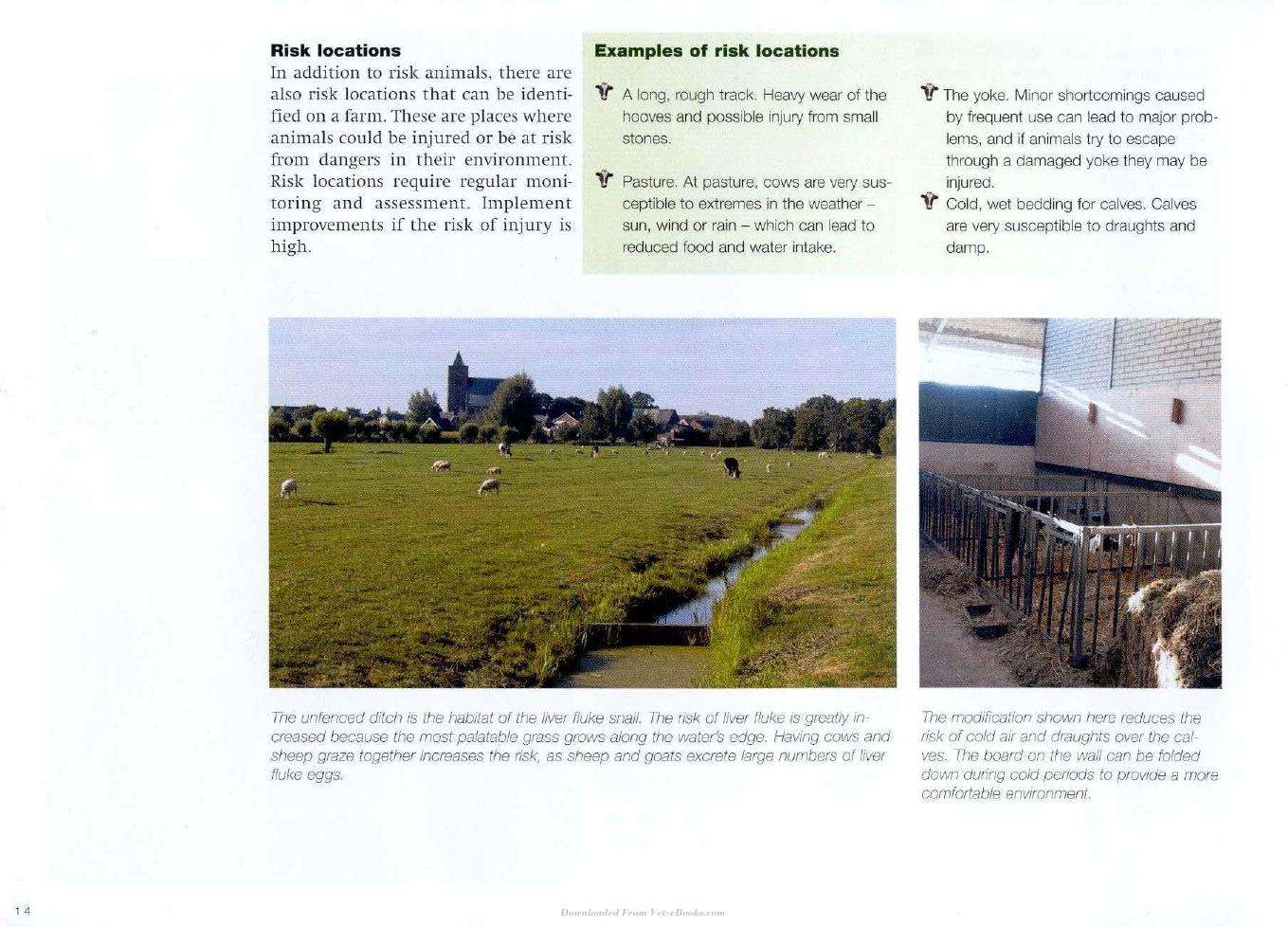 Cow Signals A Practical Guide For Dairy Farm Management