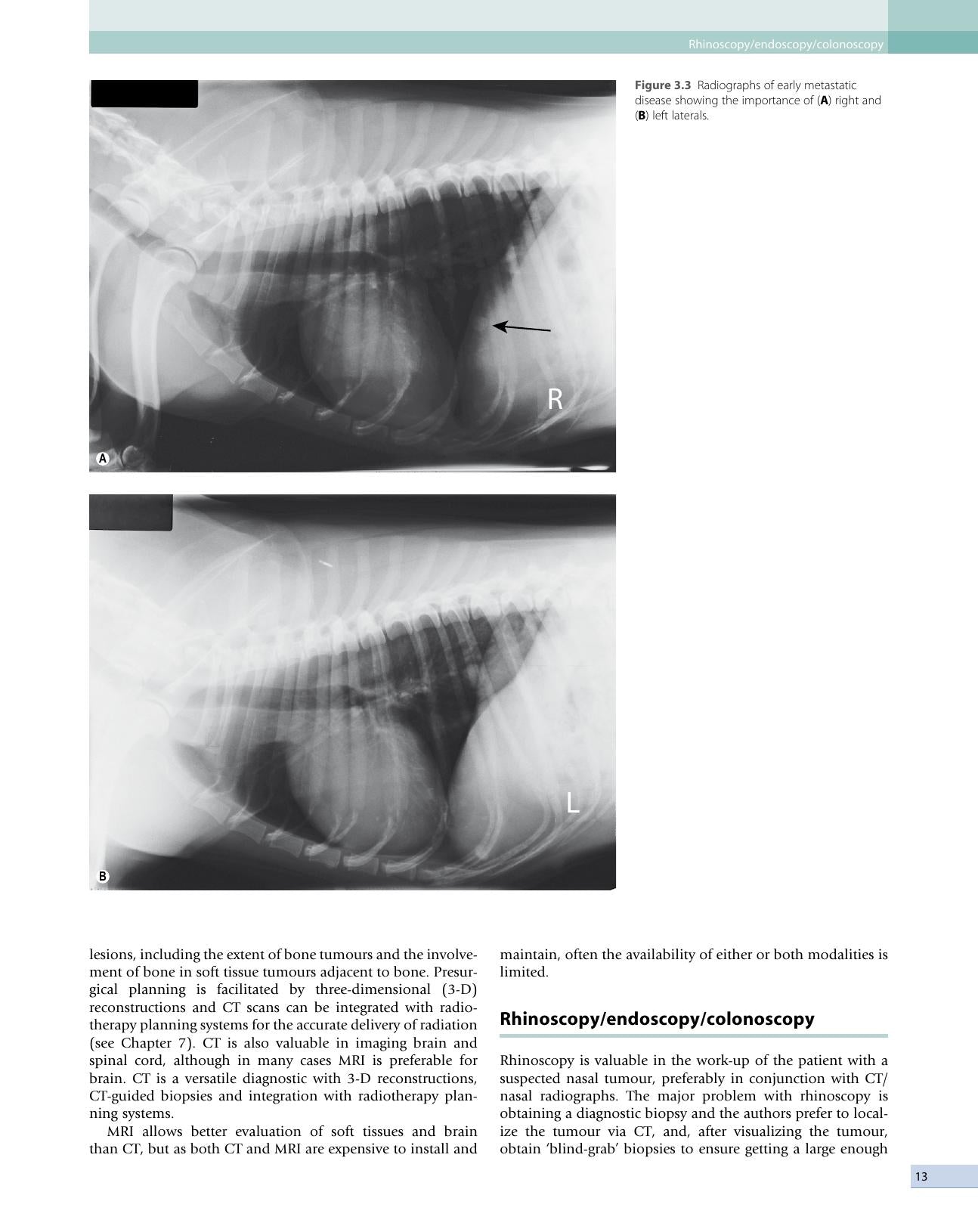 Small Animal Oncology