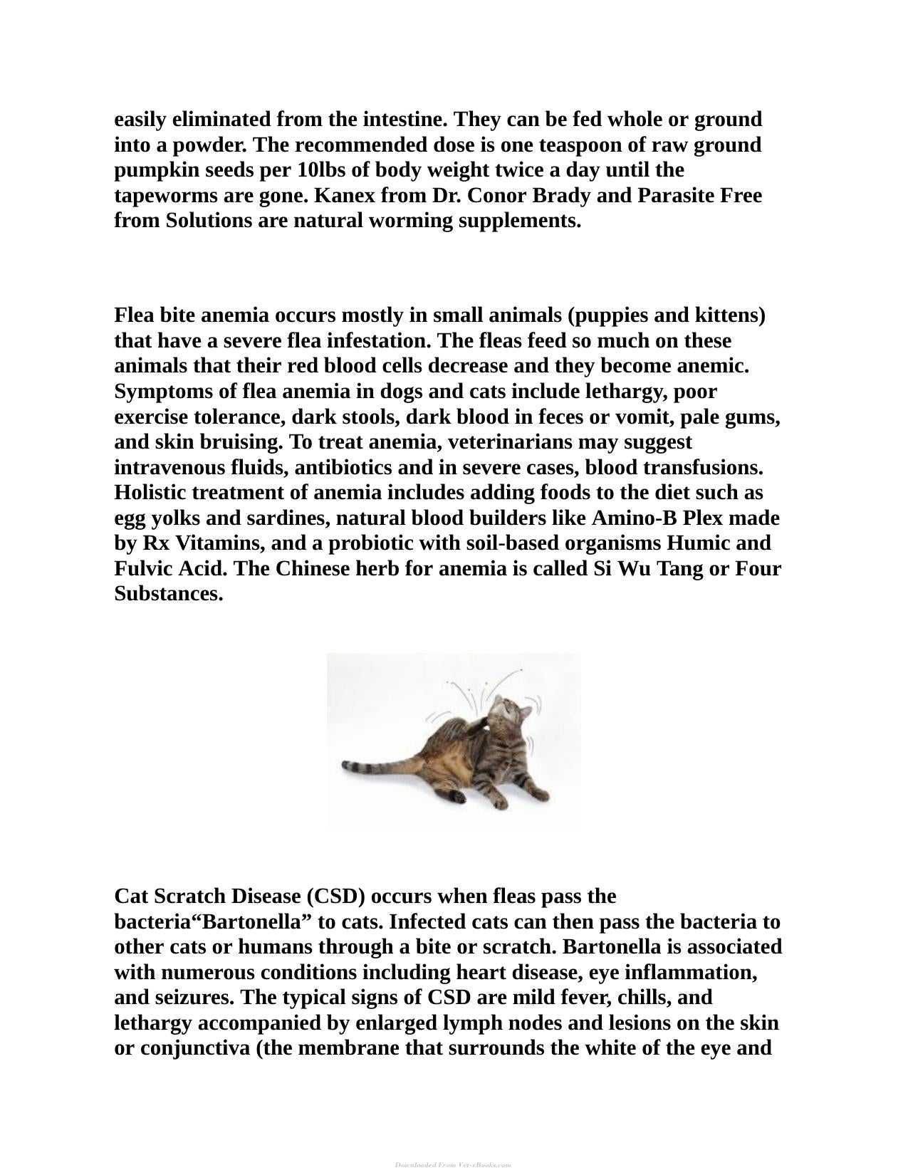 Protecting Your Pets From Parasites A Holistic Guide To Fleas Ticks Heartworms