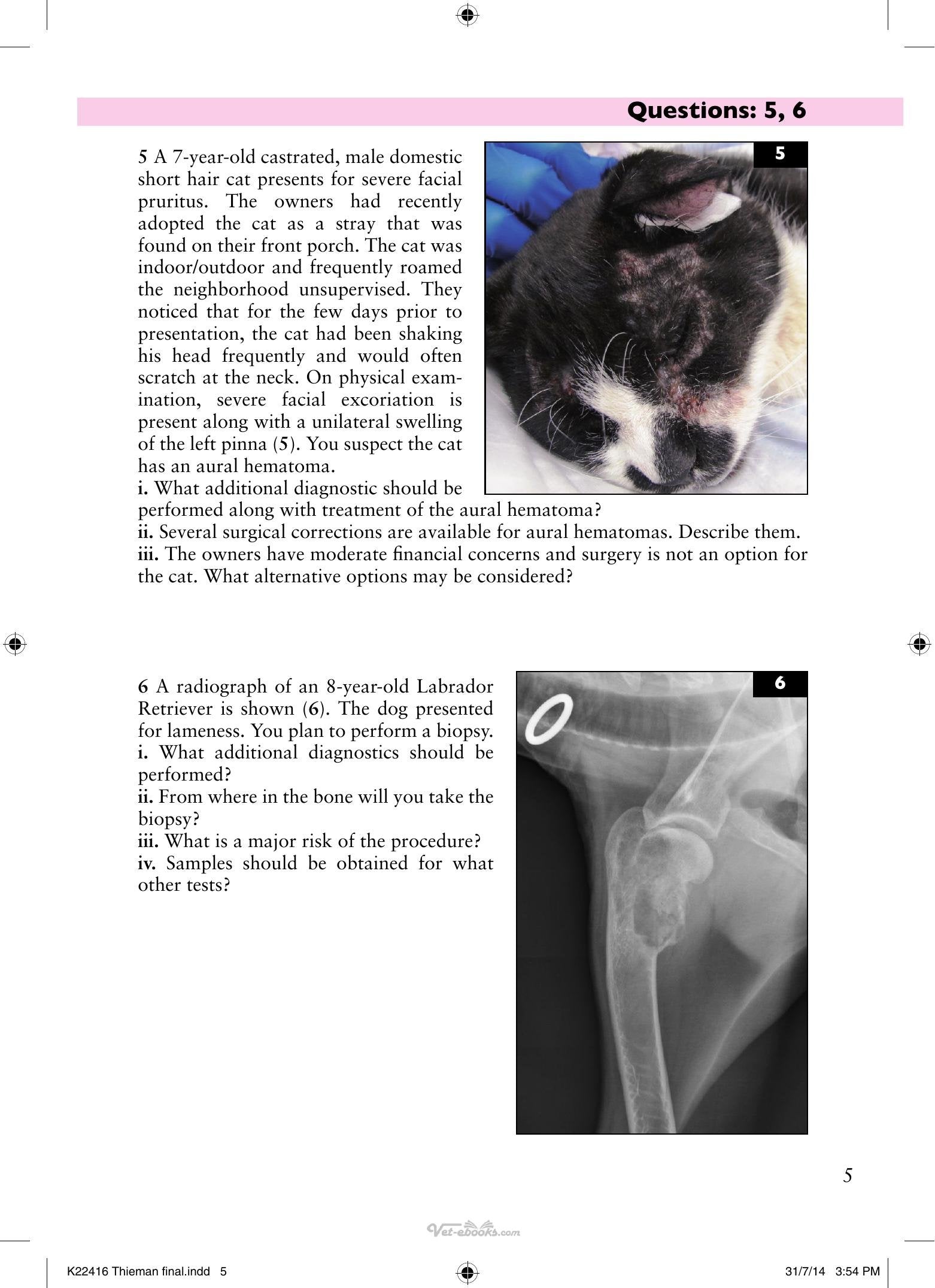 Look inside — page 15