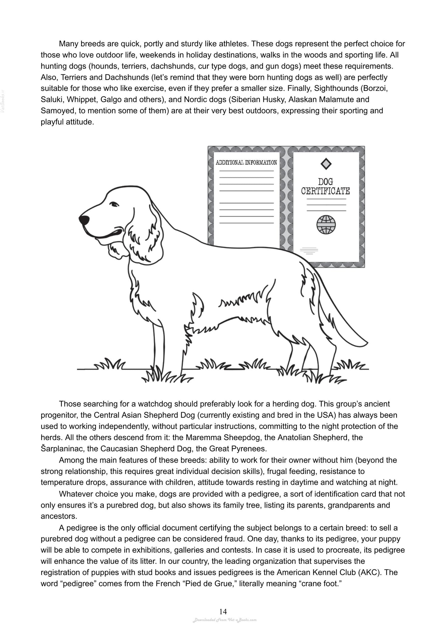 The Absolute Beginners Guide To Living With Your Dog