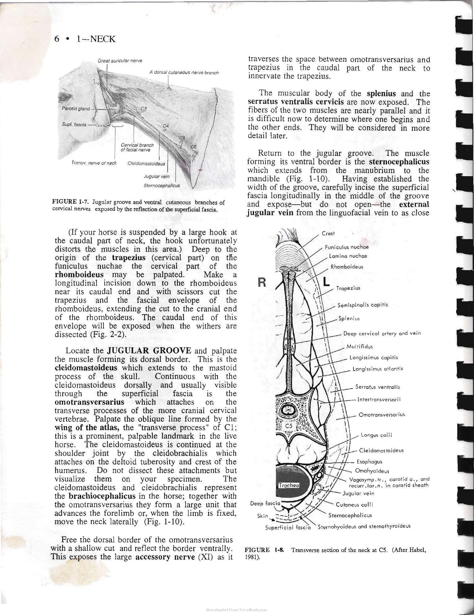 Look inside — page 16