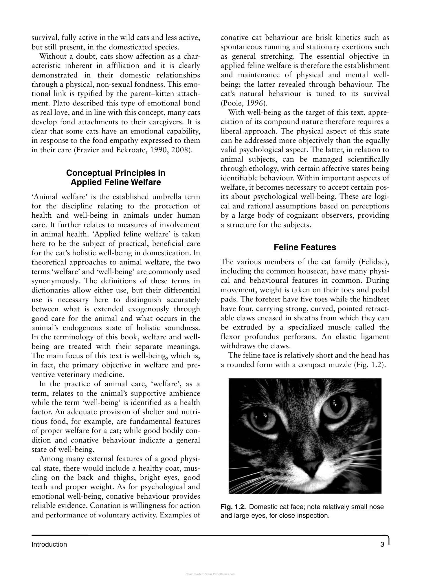 Look inside — page 16