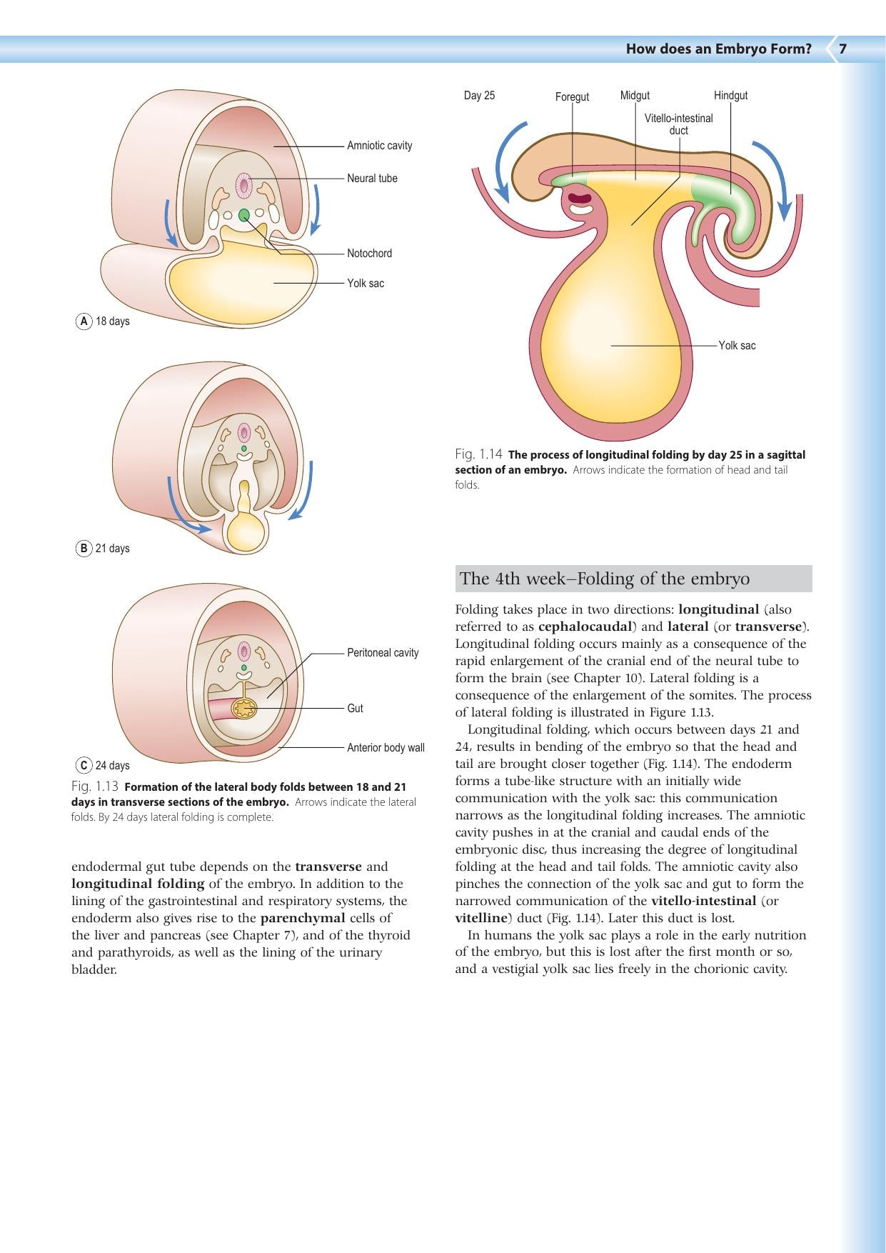 Embryology An Illustrated Colour Text 2Nd Edition