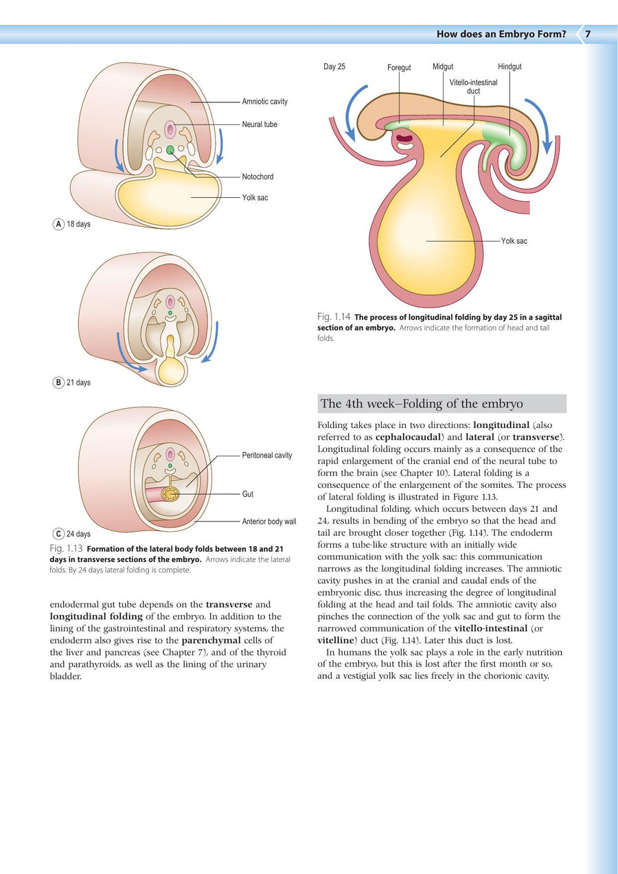 Preview page of Embryology an Illustrated Colour Text 2nd Edition