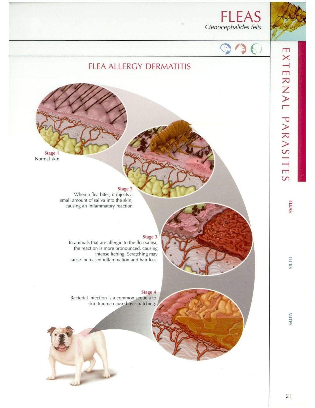 Look inside — page 16
