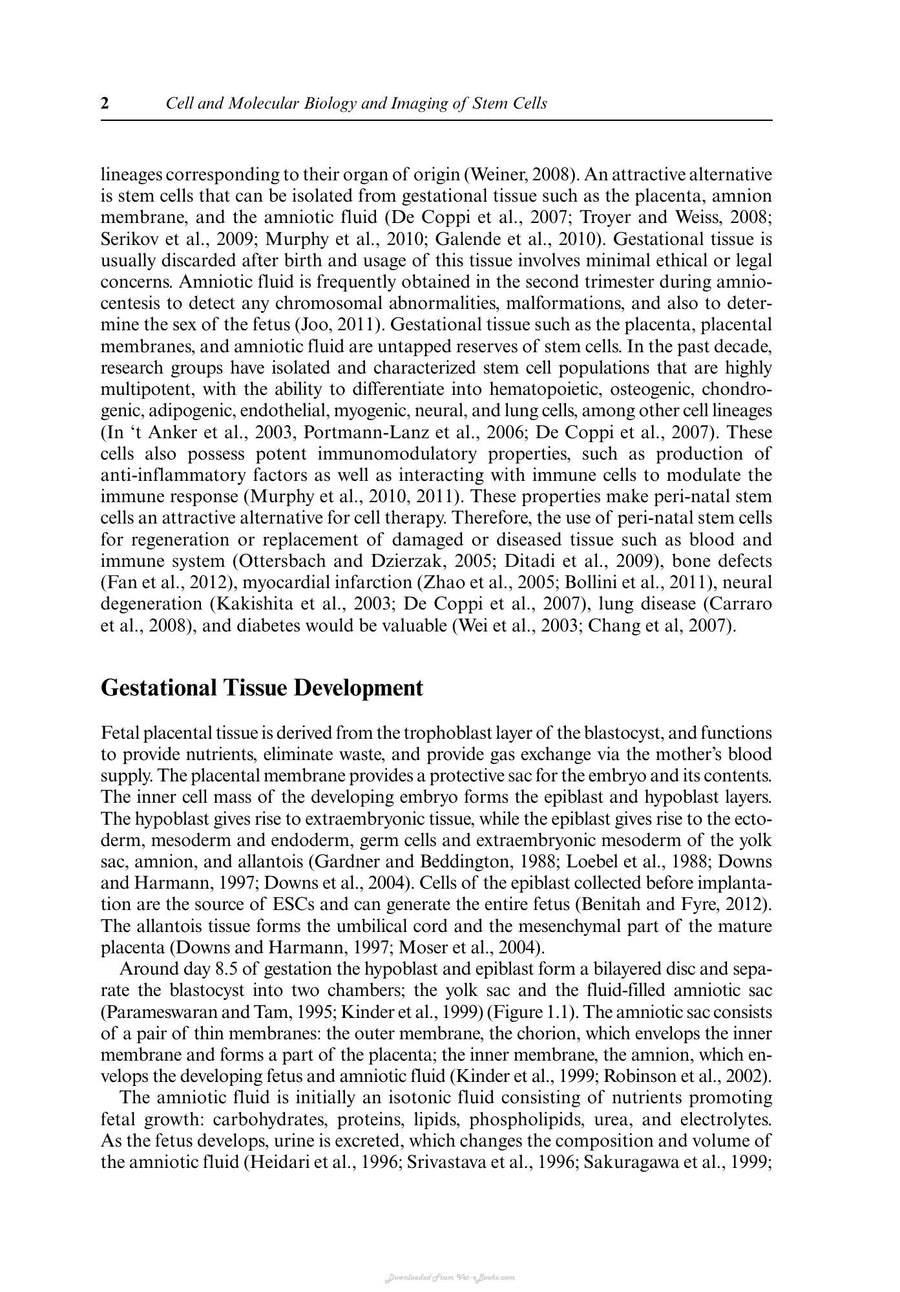 Preview page of Cell and Molecular Biology and Imaging of Stem Cells