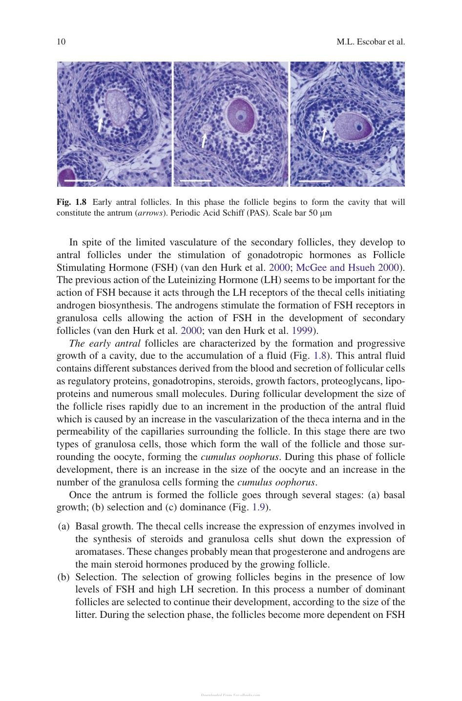 Look inside — page 16