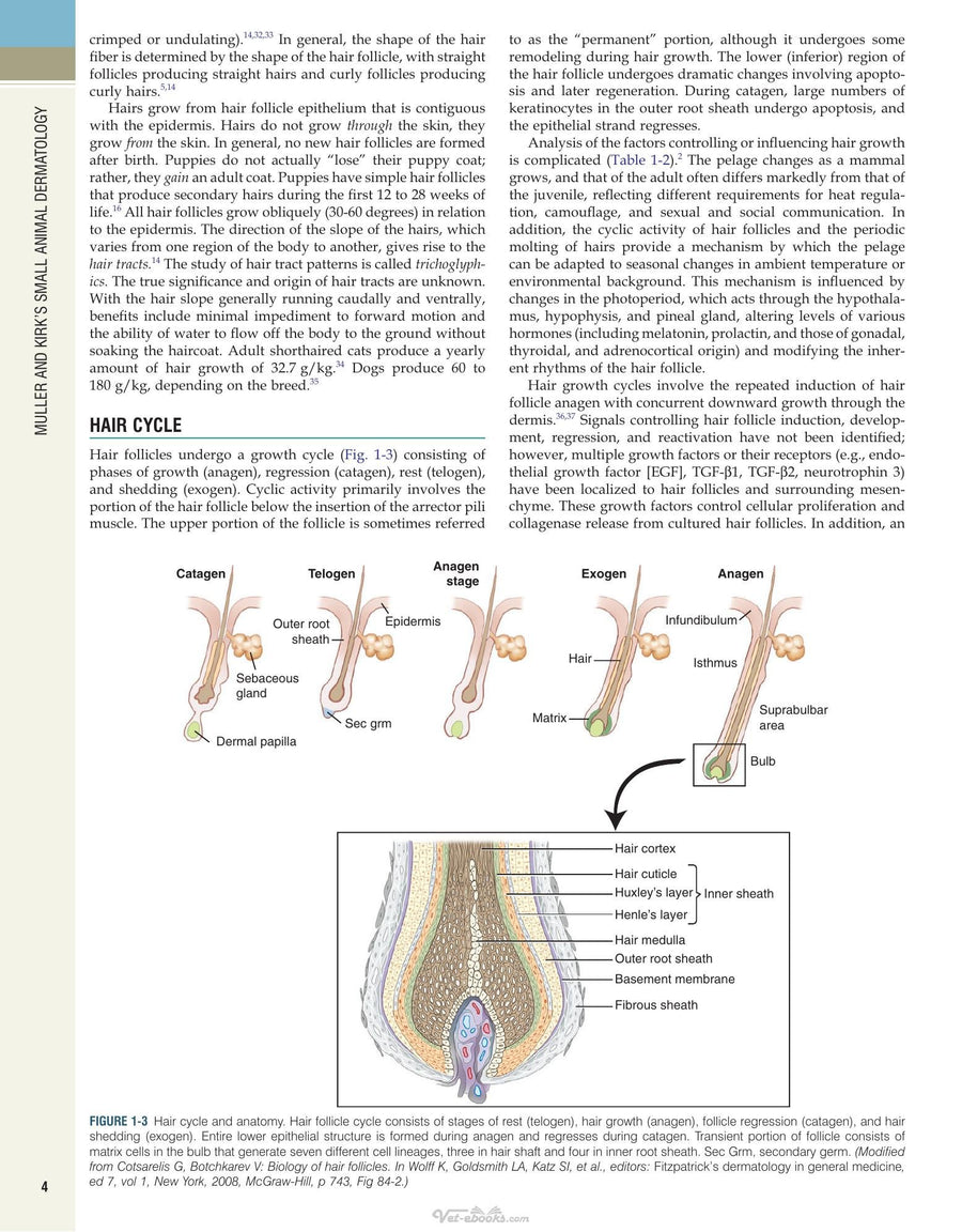Preview page of Muller and Kirk's Small Animal Dermatology 7th Edition