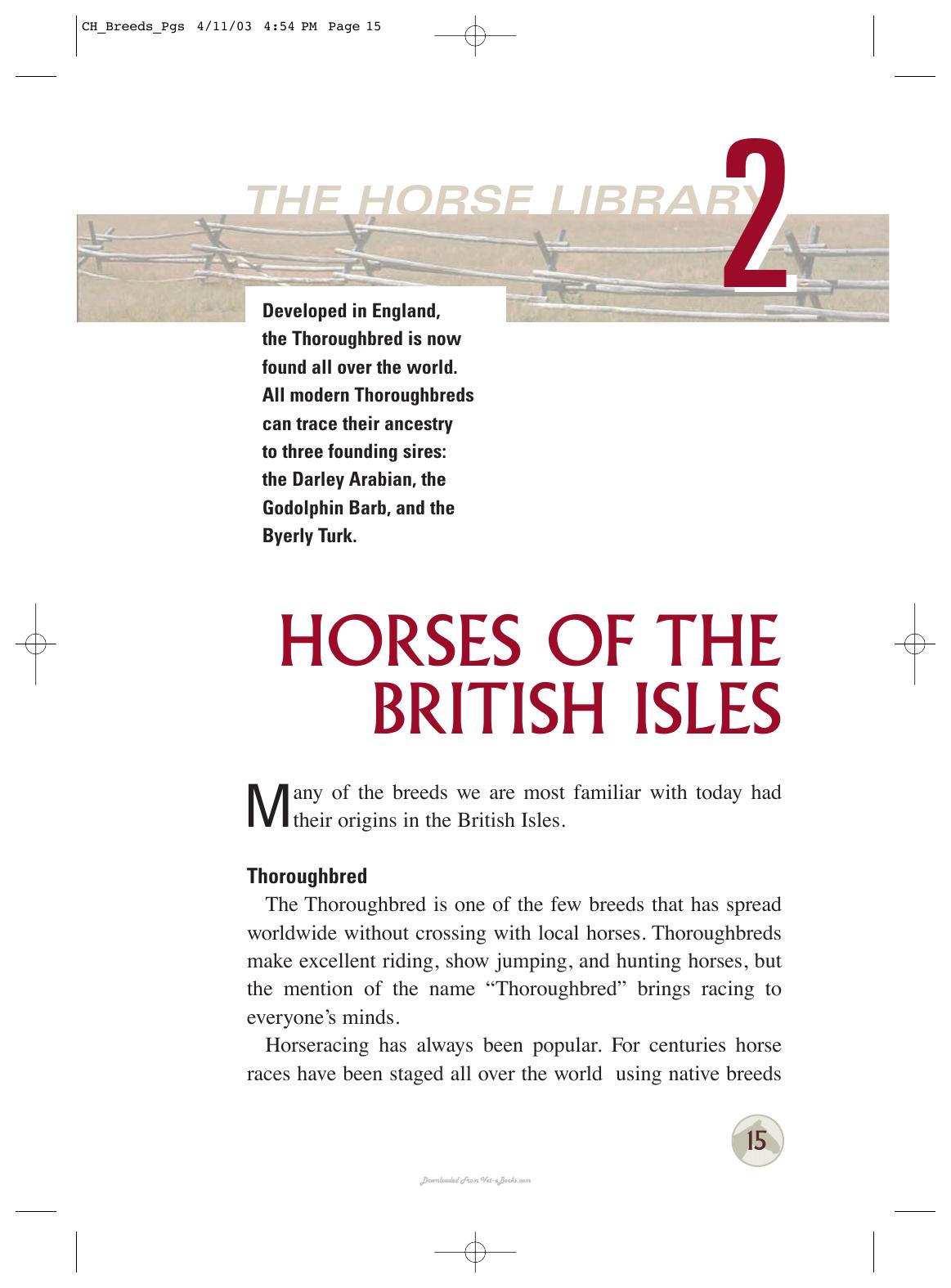 Horse Breeds Of The World