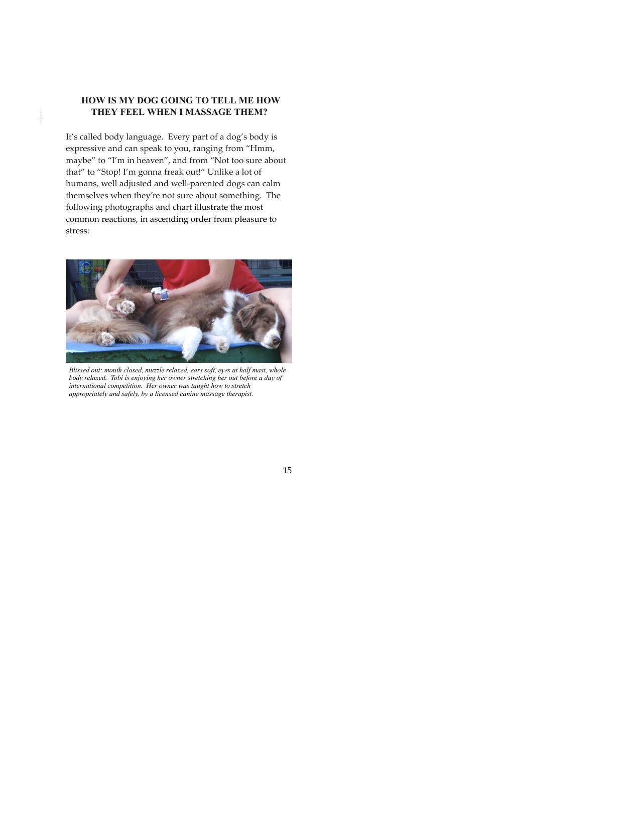 In Touch An Introduction To Canine Massage