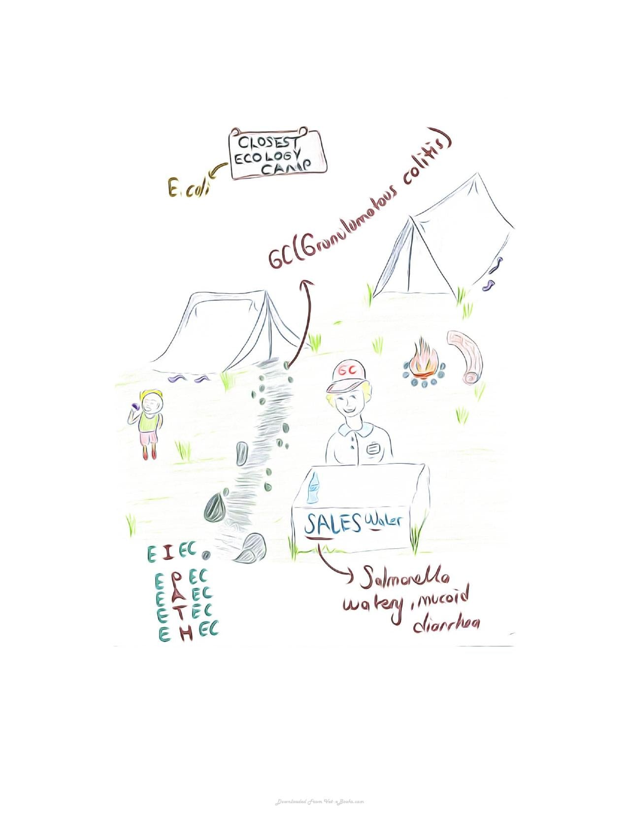 Small Animal Infectious Diseases Mnemonic Cartoons