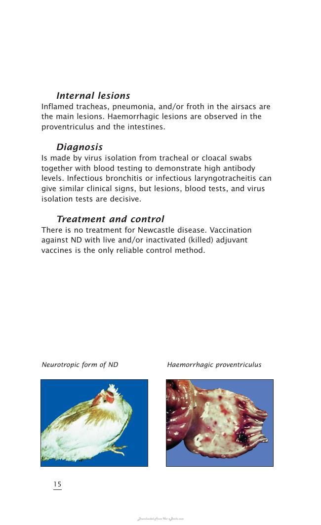 Important Poultry Diseases