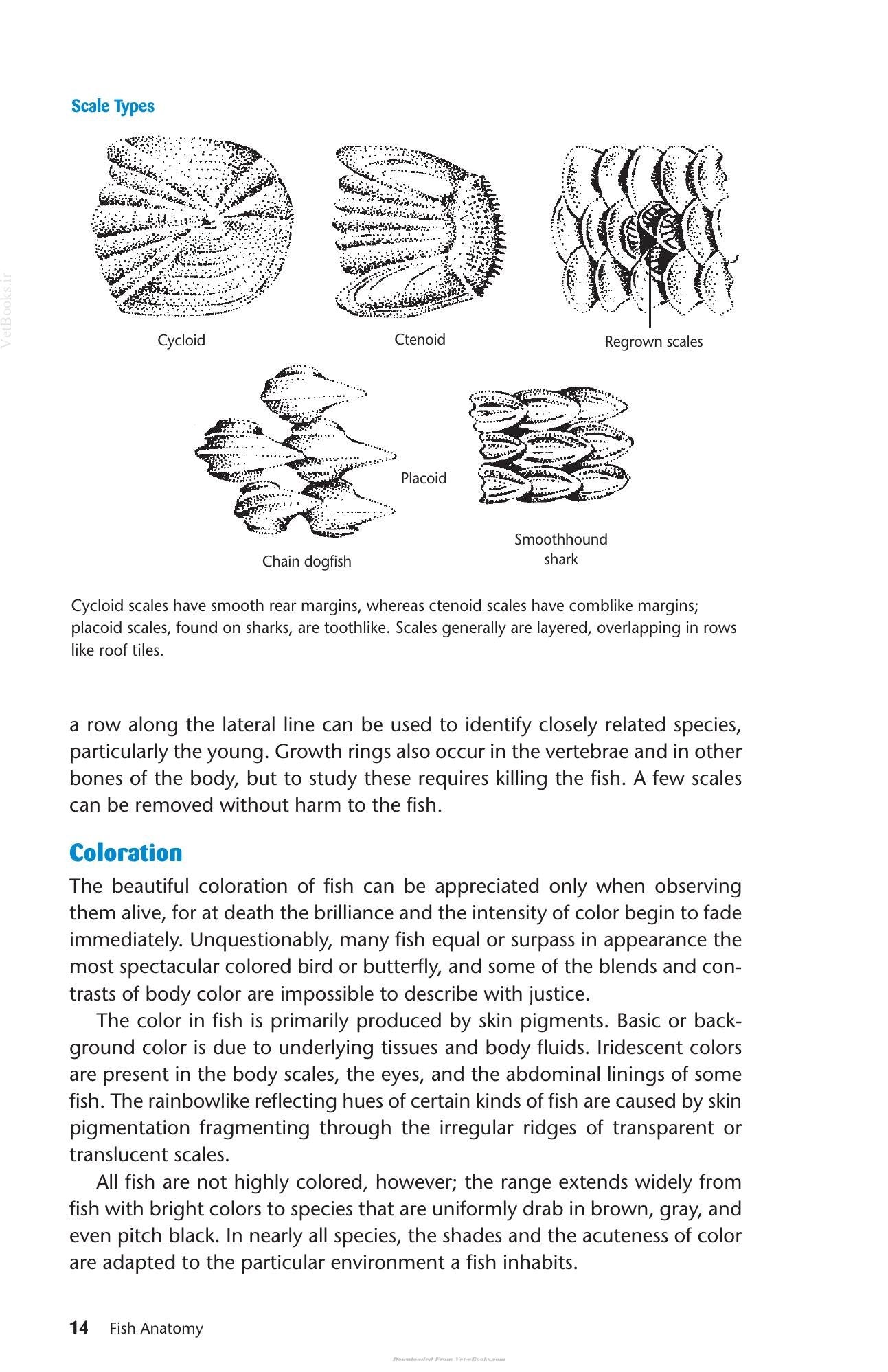 Look inside — page 16