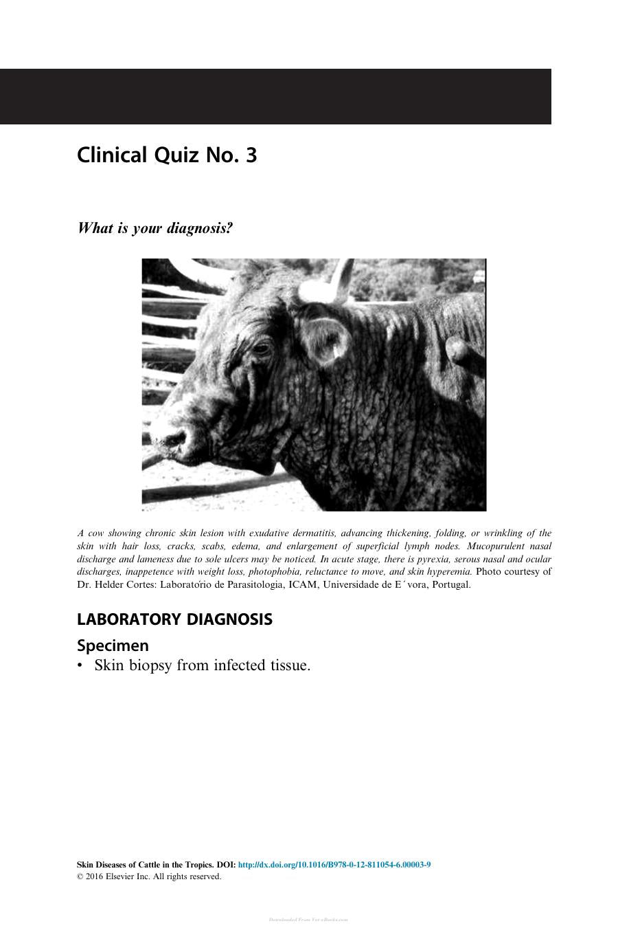 Skin Diseases Of Cattle In The Tropics A Guide To Diagnosis And Treatment