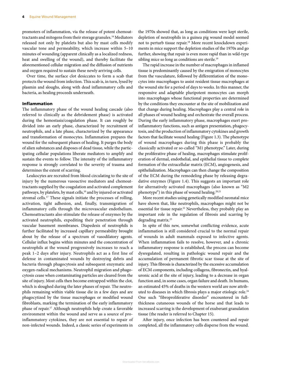 Preview page of Equine Wound Management 3rd Edition