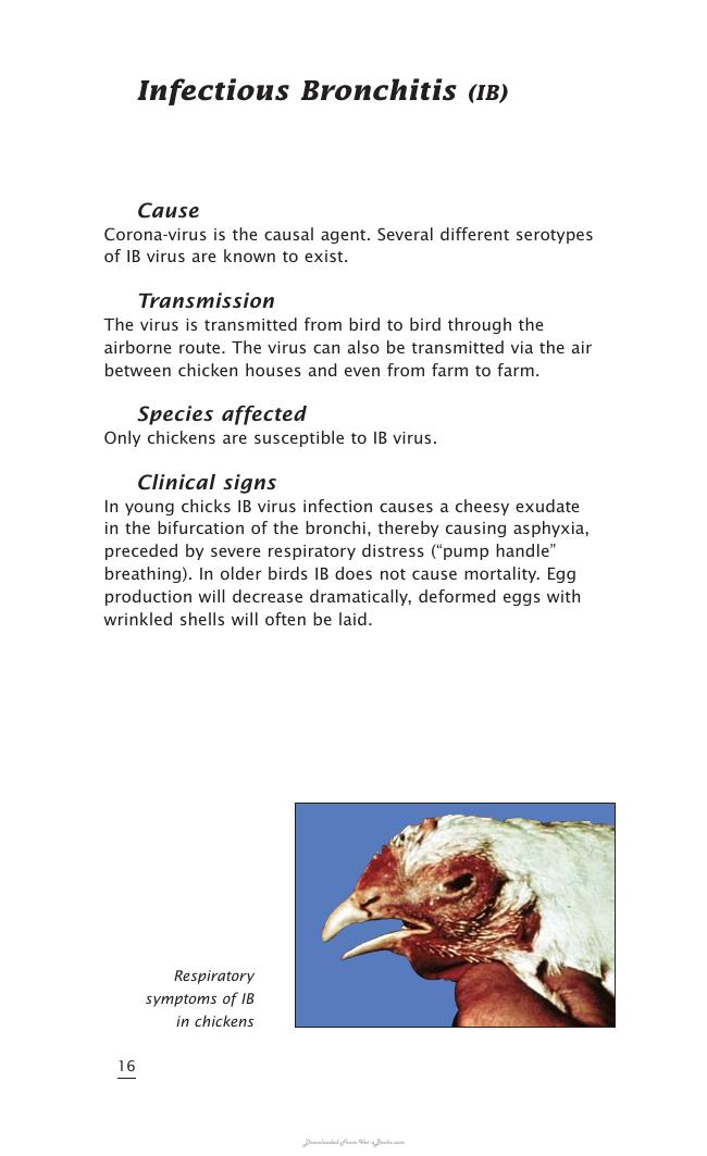Important Poultry Diseases