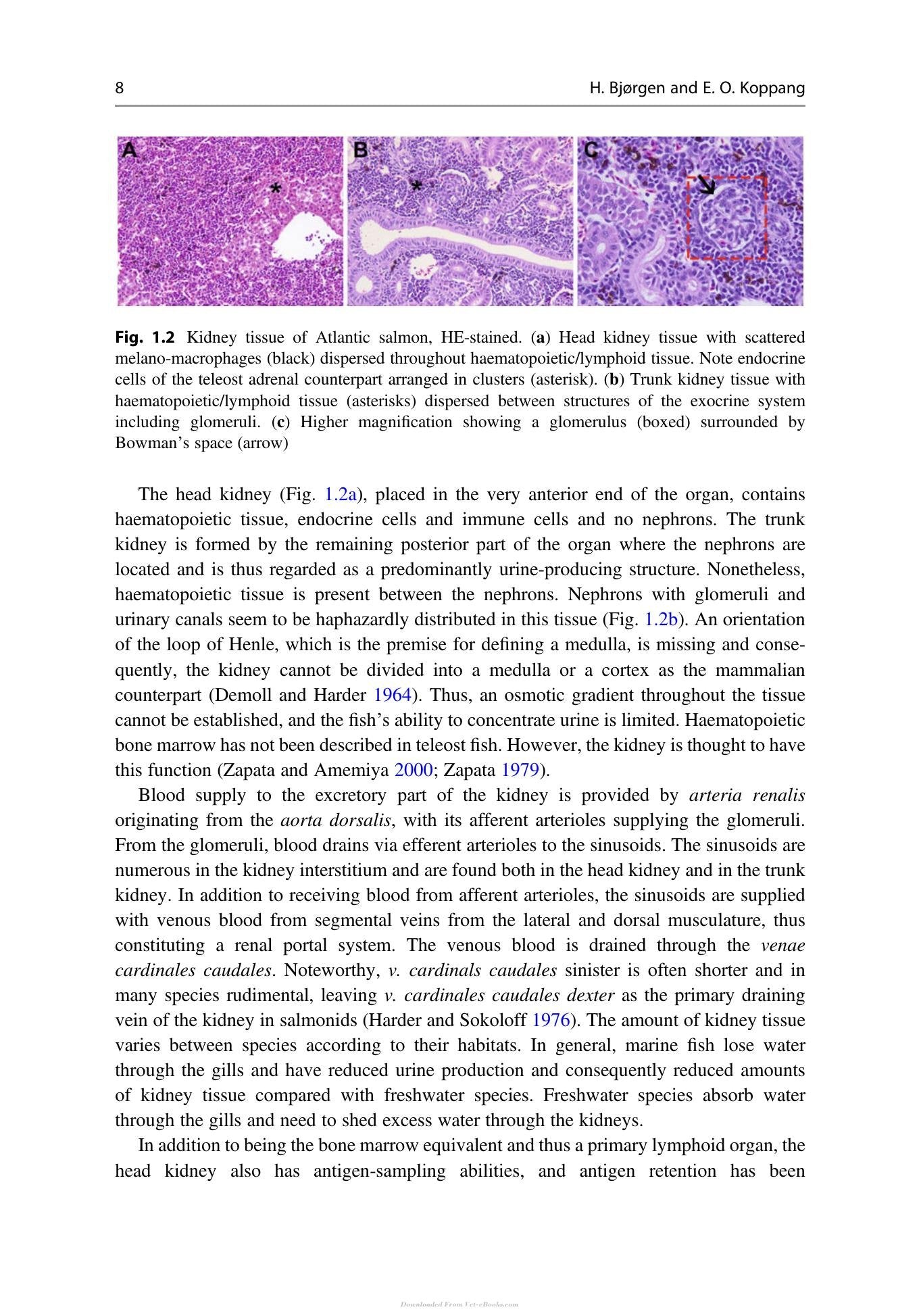 Look inside — page 17