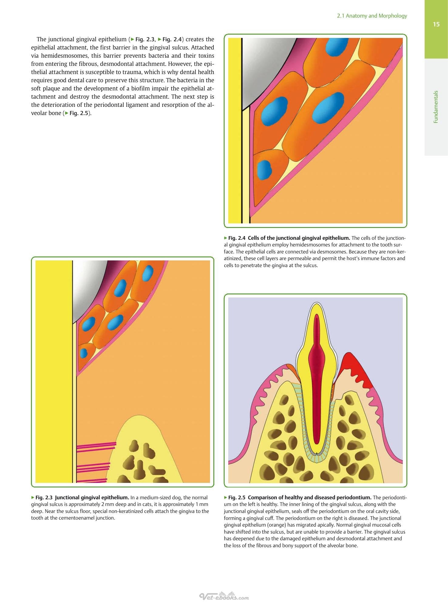 Look inside — page 17