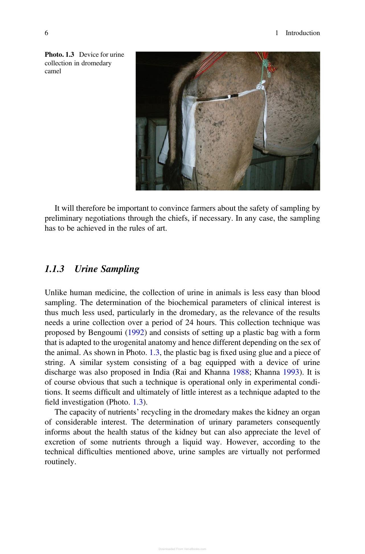 Look inside — page 17
