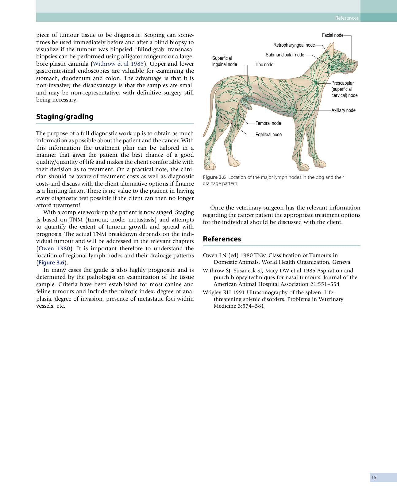 Small Animal Oncology