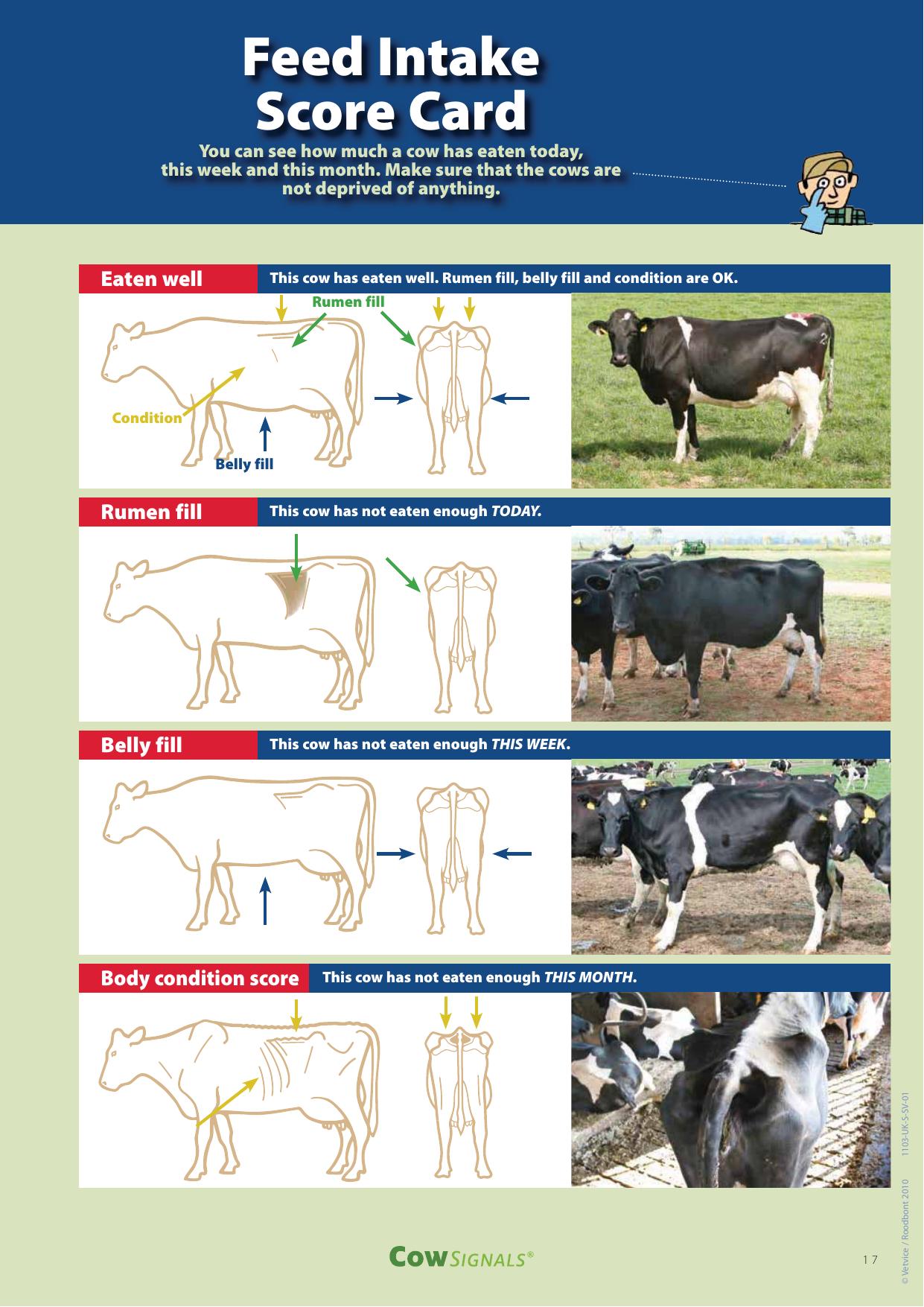 Cow Signals Checkbook Working On Health Production And Welfare