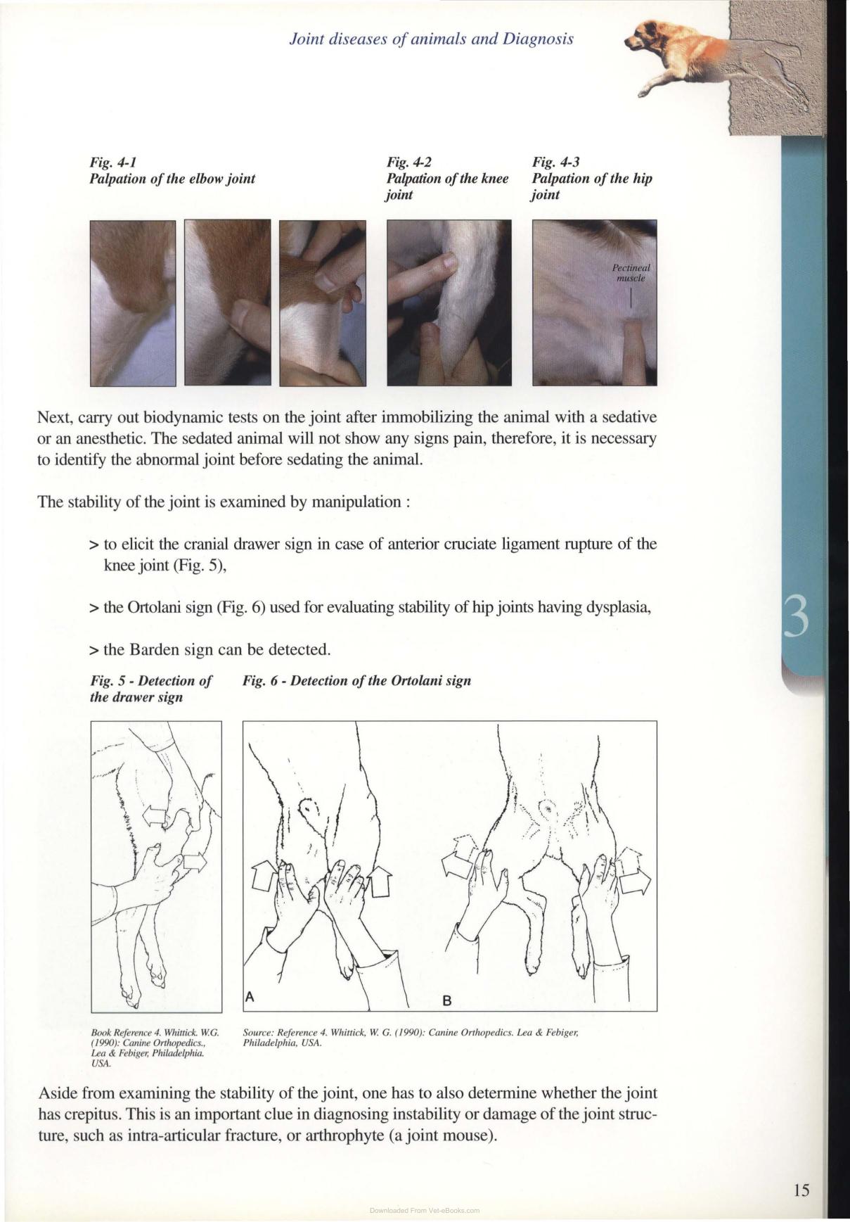 Diagnosis And Treatment Of Joint Disease Of Small Animals