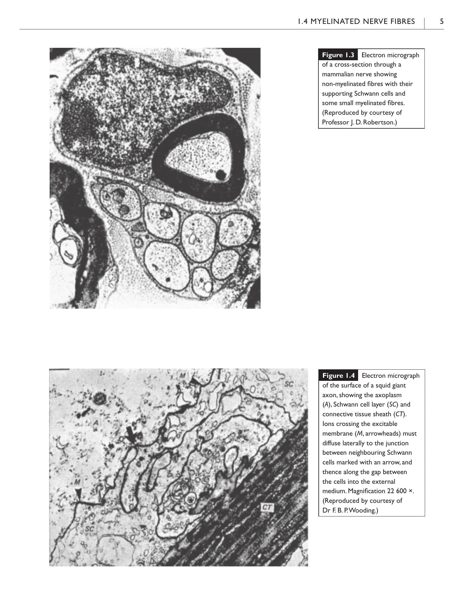 Look inside — page 17