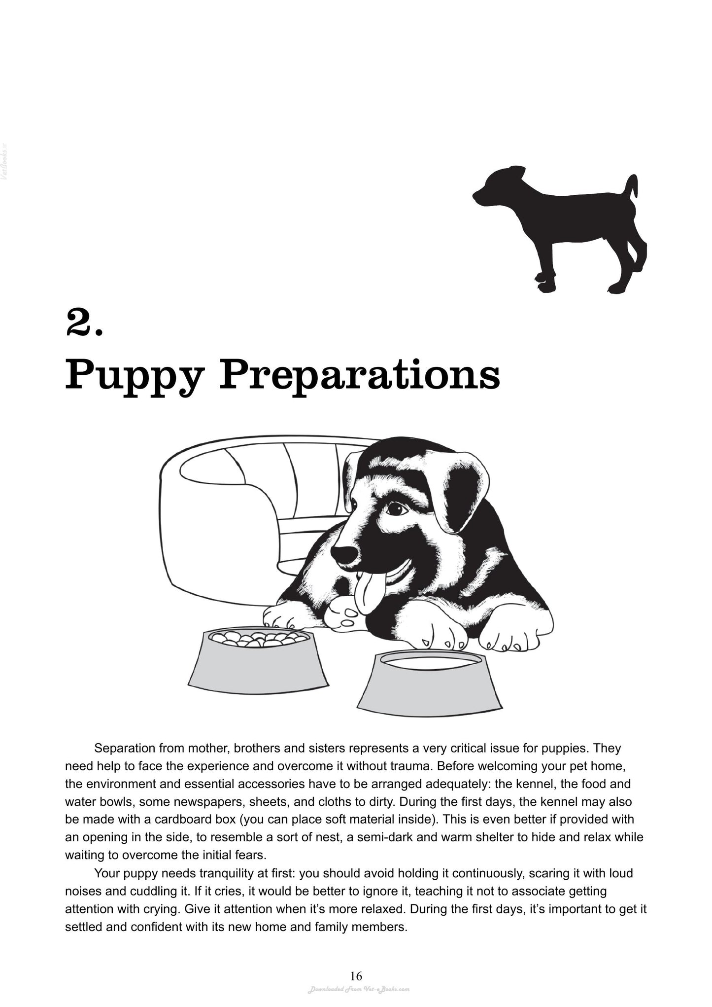 The Absolute Beginners Guide To Living With Your Dog