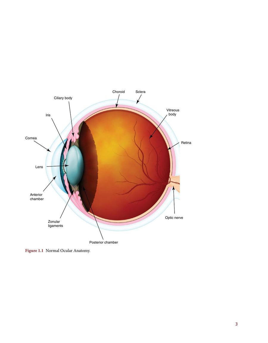 Preview page of Clinical Atlas of Canine and Feline Ophthalmic Disease 2nd Edition