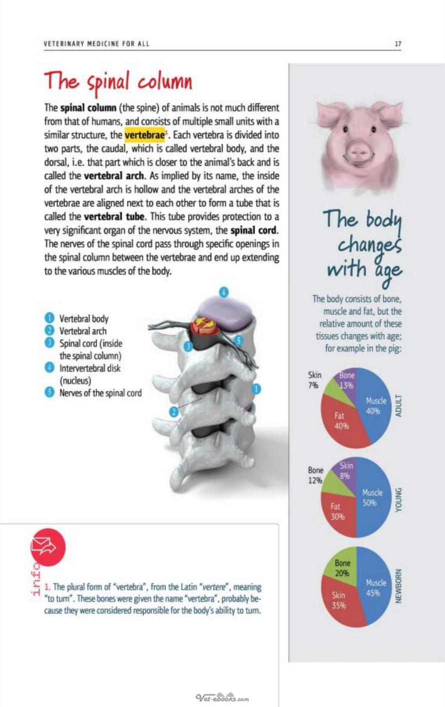 The Body Of Domestic Animals Structure And Function