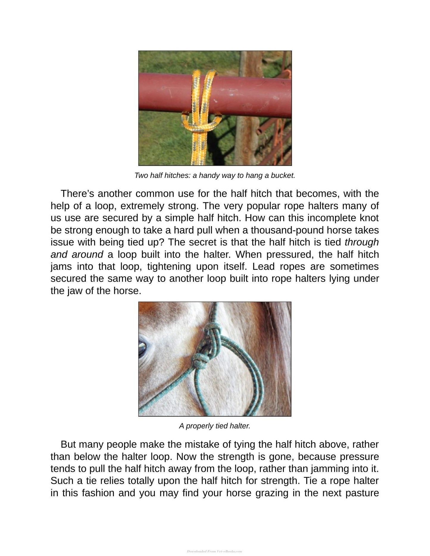 Look inside — page 17