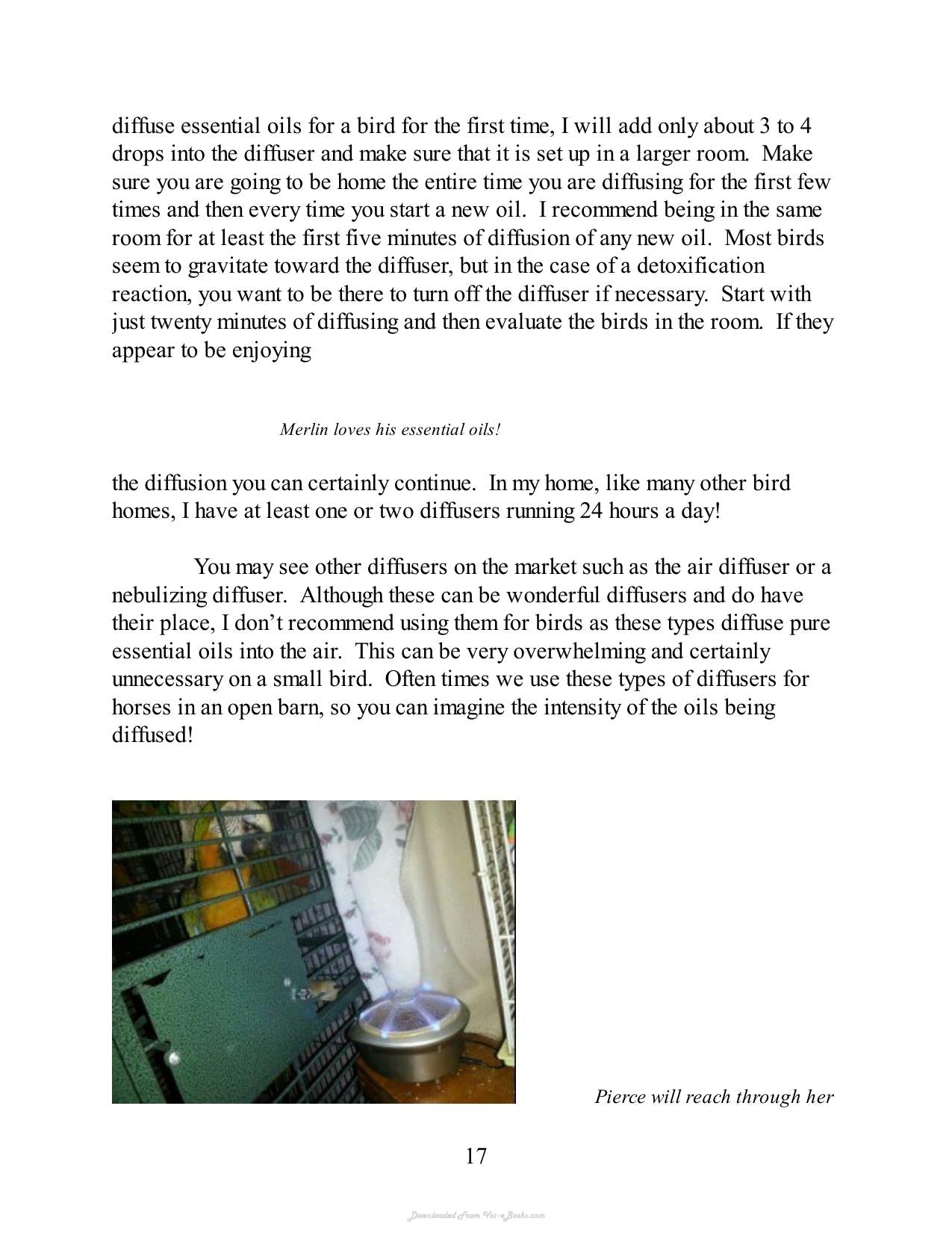 Look inside — page 17