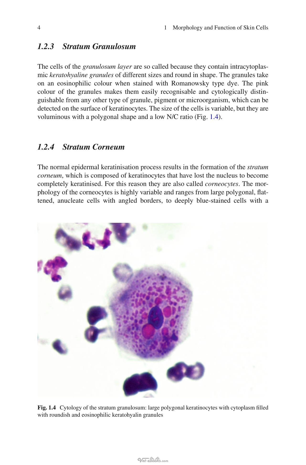 Look inside — page 18