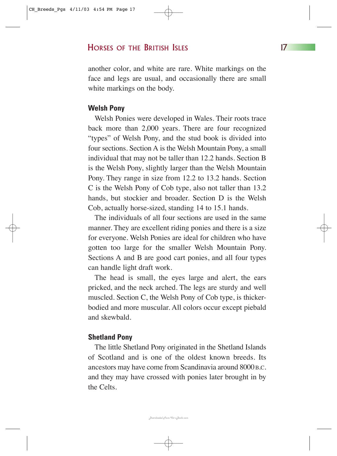 Horse Breeds Of The World