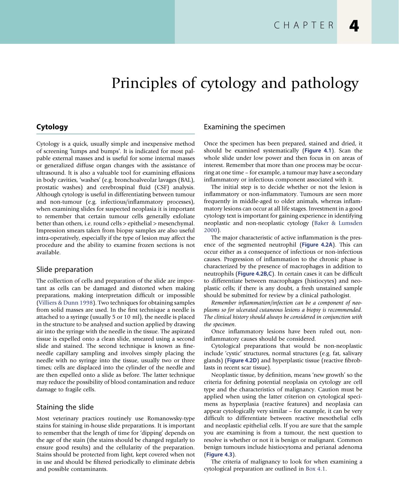 Small Animal Oncology