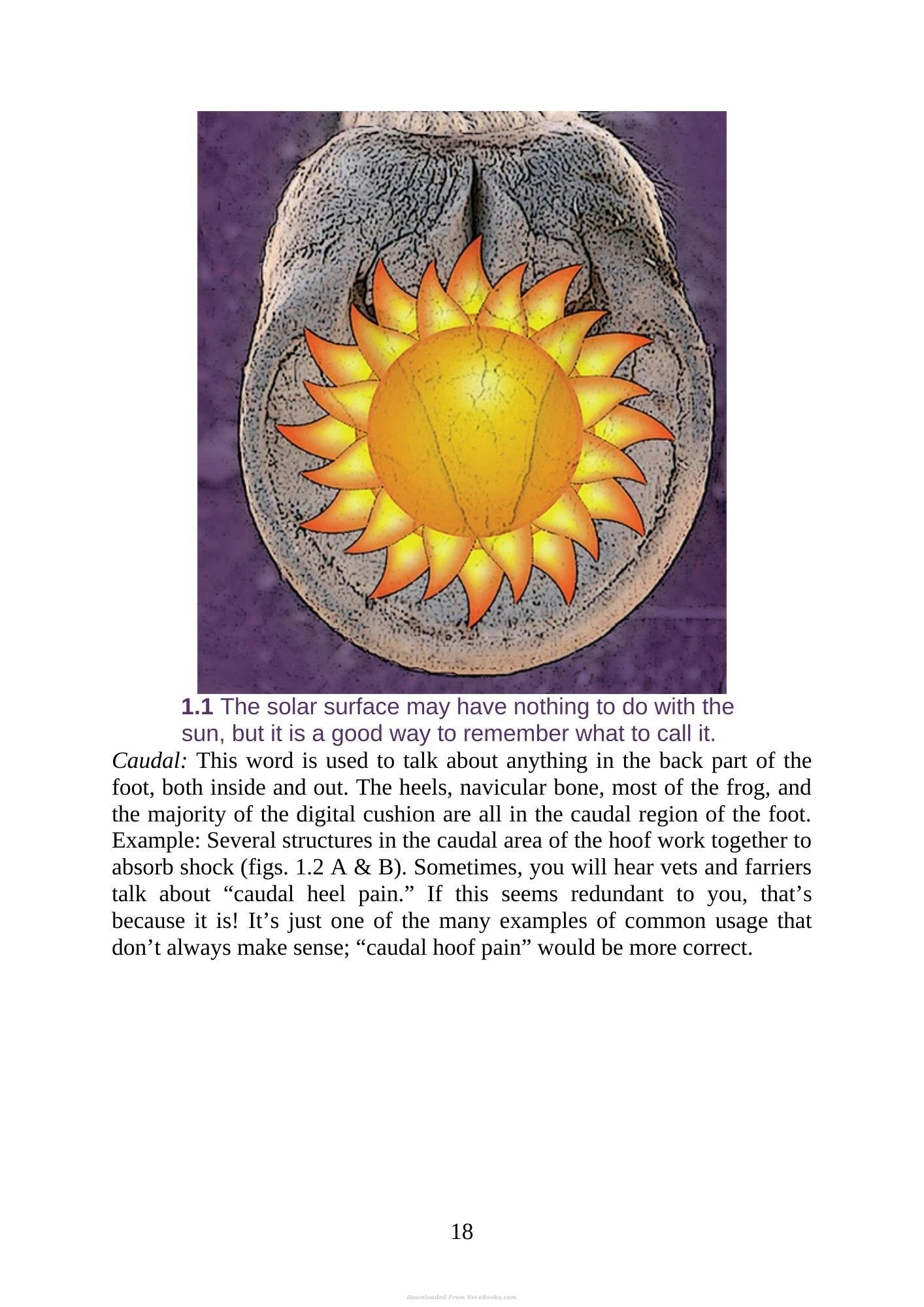 Look inside — page 18