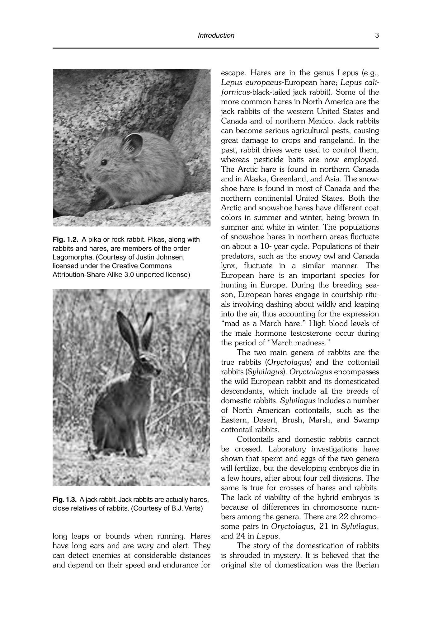 Look inside — page 18