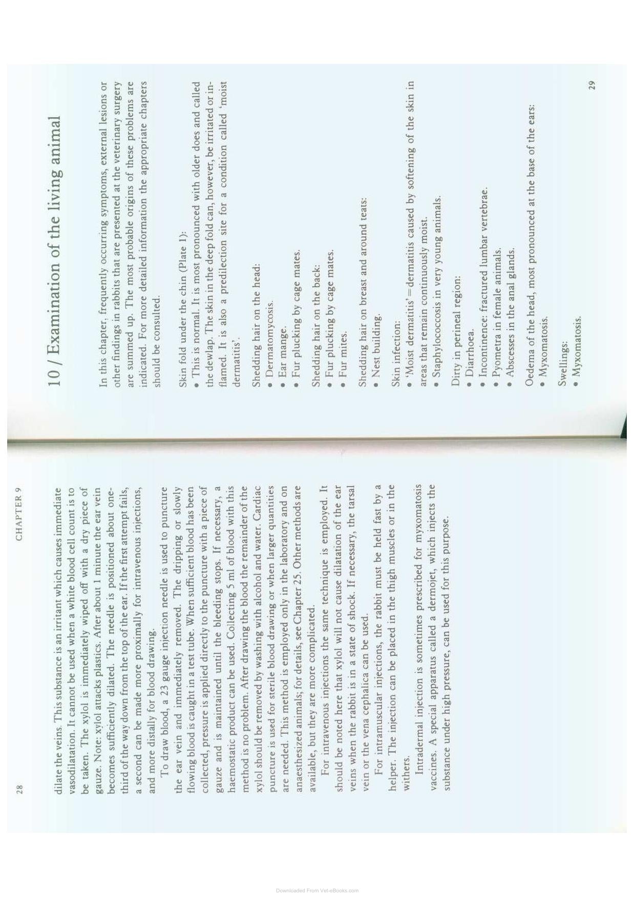 Diseases Of Domestic Rabbits