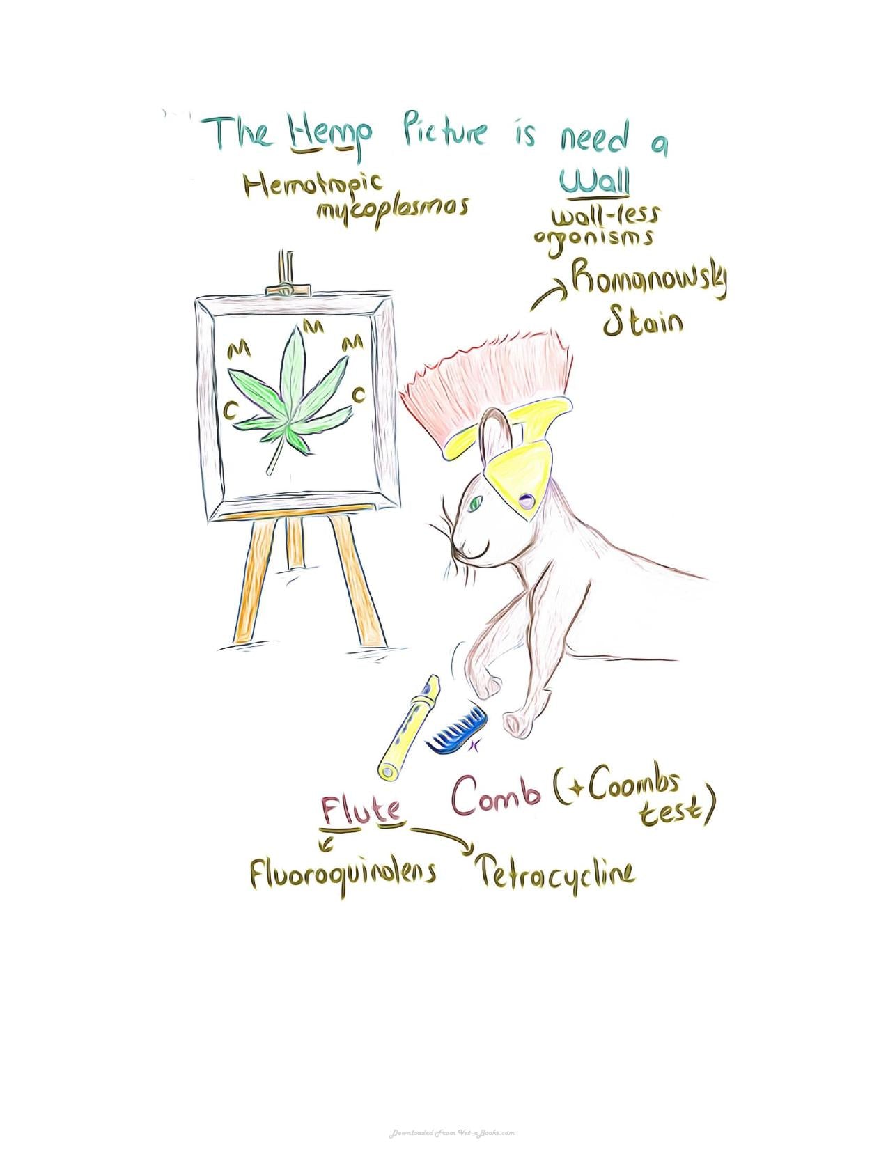 Small Animal Infectious Diseases Mnemonic Cartoons